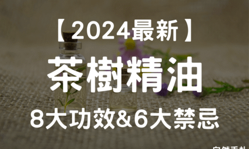 【2024最新】8大茶樹精油功效＆禁忌，茶樹精油直接塗抹可以嗎？