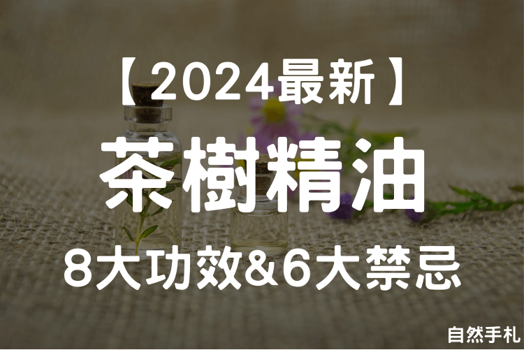 You are currently viewing 【2024最新】8大茶樹精油功效＆禁忌，茶樹精油直接塗抹可以嗎？